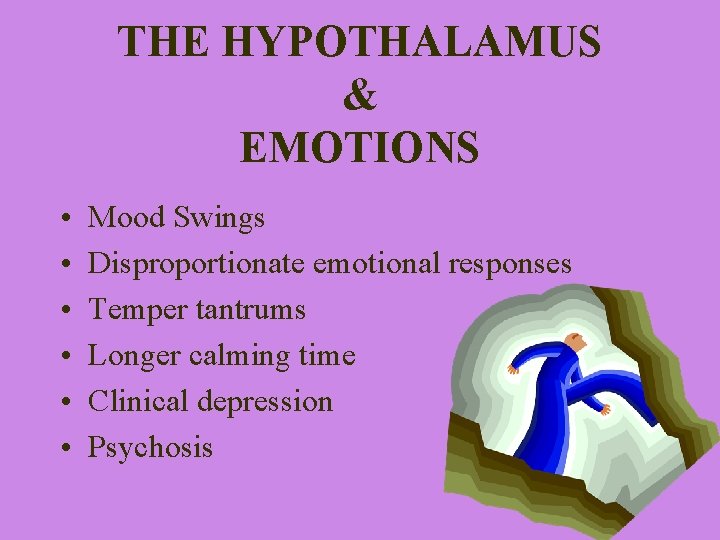 THE HYPOTHALAMUS & EMOTIONS • • • Mood Swings Disproportionate emotional responses Temper tantrums