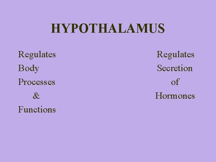 HYPOTHALAMUS Regulates Body Processes & Functions Regulates Secretion of Hormones 