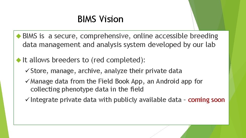 BIMS Vision BIMS is a secure, comprehensive, online accessible breeding data management and analysis