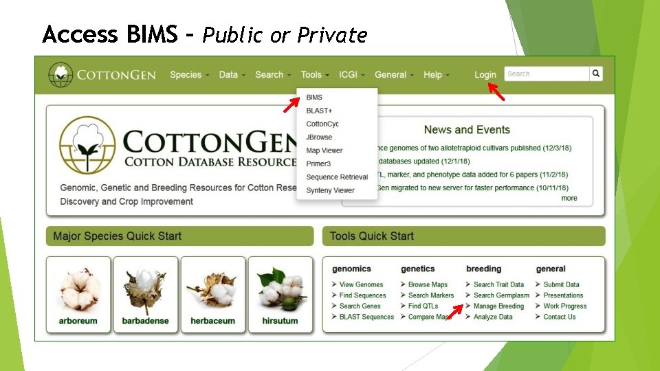 Access BIMS – Public or Private 