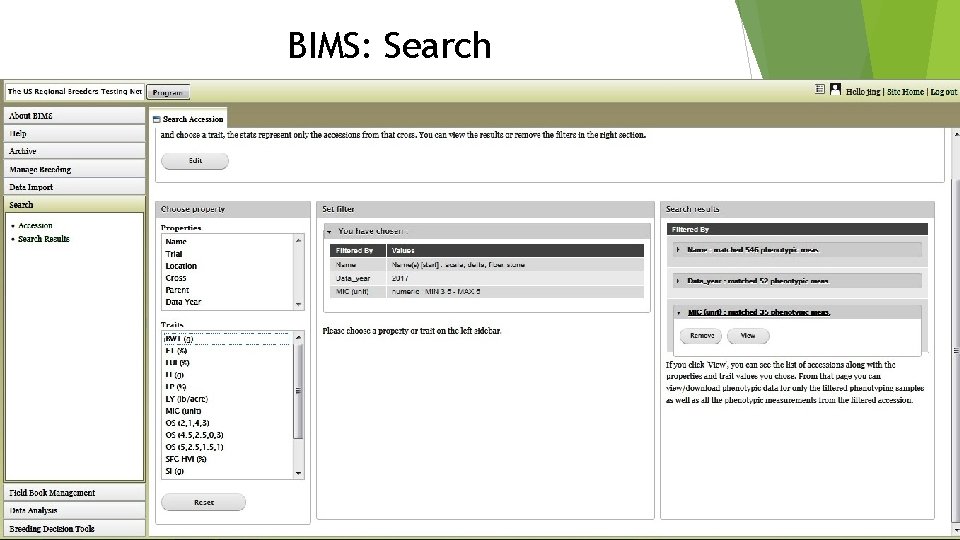 BIMS: Search 