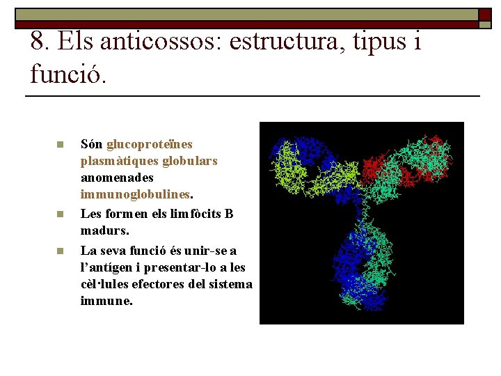 8. Els anticossos: estructura, tipus i funció. n n n Són glucoproteïnes plasmàtiques globulars