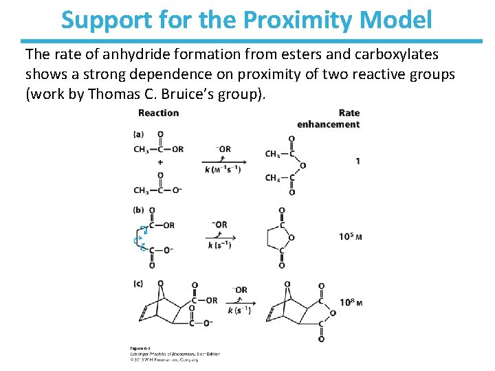 Support for the Proximity Model The rate of anhydride formation from esters and carboxylates