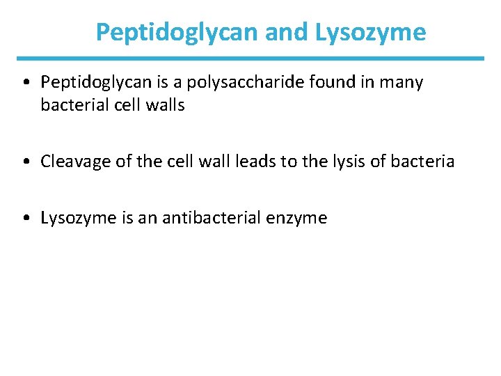 Peptidoglycan and Lysozyme • Peptidoglycan is a polysaccharide found in many bacterial cell walls