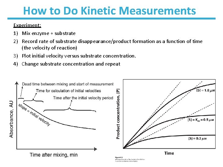 How to Do Kinetic Measurements Experiment: 1) Mix enzyme + substrate 2) Record rate