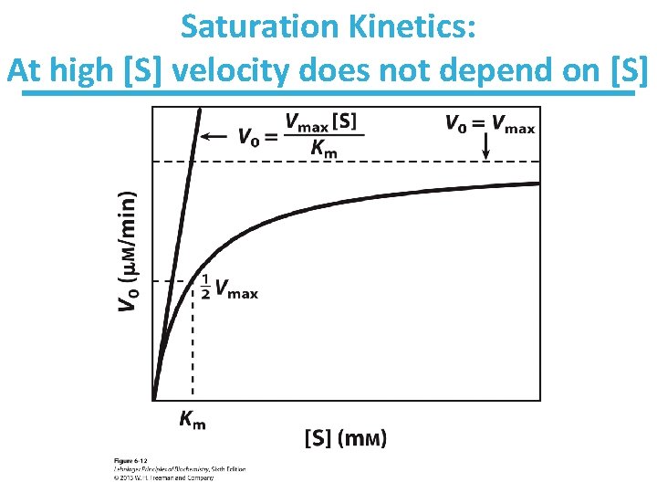 Saturation Kinetics: At high [S] velocity does not depend on [S] 