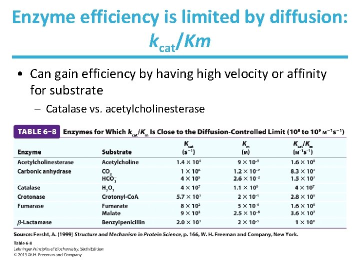 Enzyme efficiency is limited by diffusion: kcat/Km • Can gain efficiency by having high