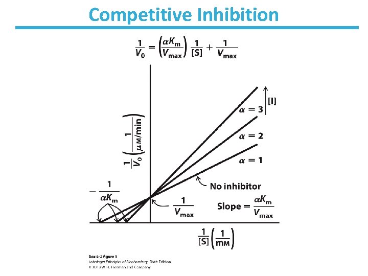 Competitive Inhibition 