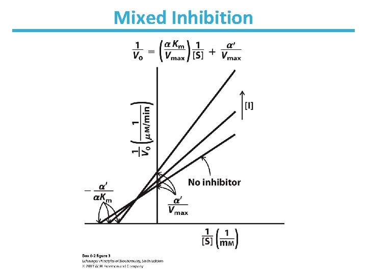 Mixed Inhibition 
