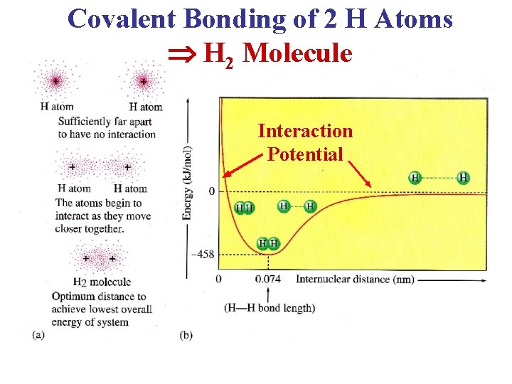 Covalent Bonding of 2 H Atoms H 2 Molecule Interaction Potential 