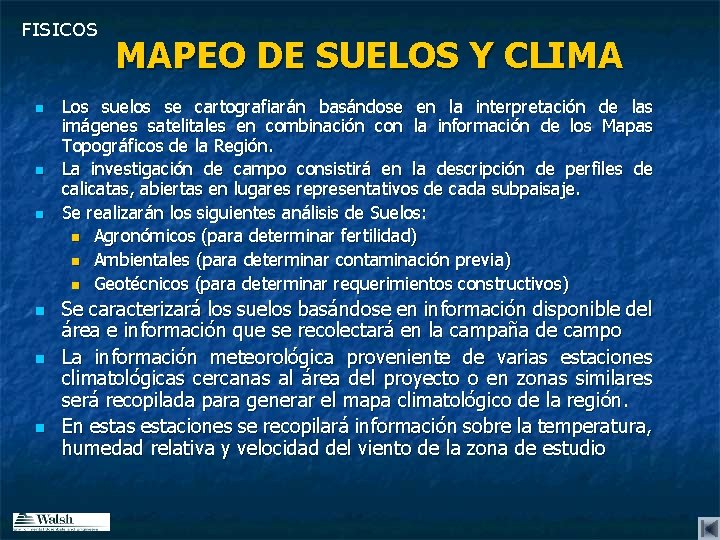 FISICOS n n n MAPEO DE SUELOS Y CLIMA Los suelos se cartografiarán basándose