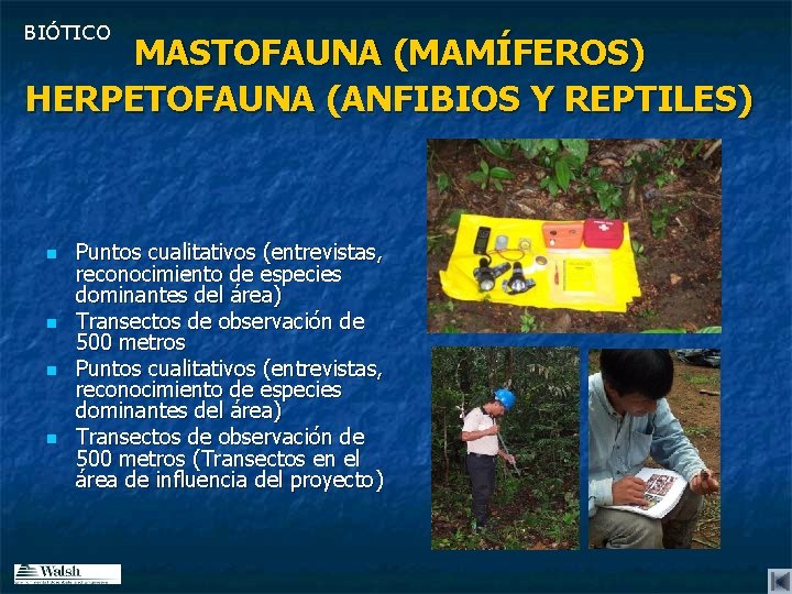 BIÓTICO MASTOFAUNA (MAMÍFEROS) HERPETOFAUNA (ANFIBIOS Y REPTILES) n n Puntos cualitativos (entrevistas, reconocimiento de