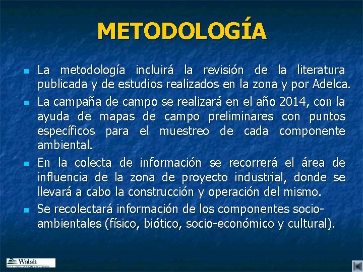 METODOLOGÍA n n La metodología incluirá la revisión de la literatura publicada y de