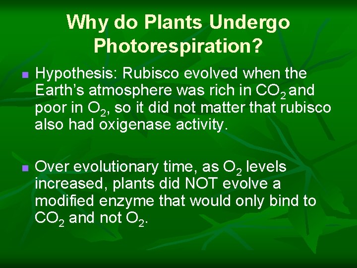 Why do Plants Undergo Photorespiration? n n Hypothesis: Rubisco evolved when the Earth’s atmosphere