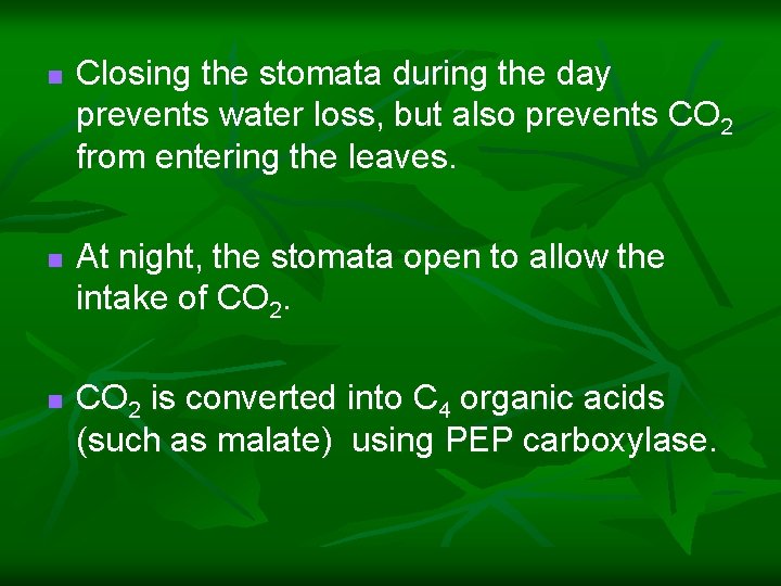 n n n Closing the stomata during the day prevents water loss, but also