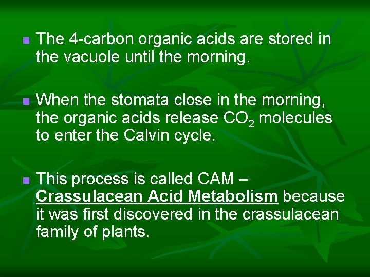 n n n The 4 -carbon organic acids are stored in the vacuole until