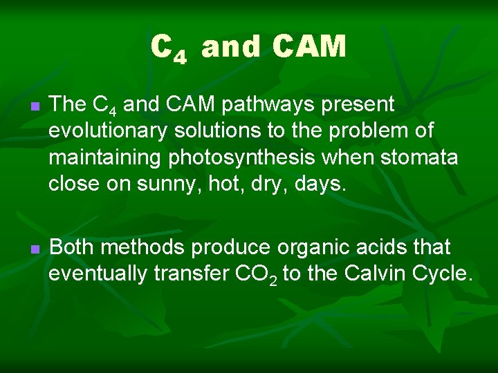 C 4 and CAM n n The C 4 and CAM pathways present evolutionary