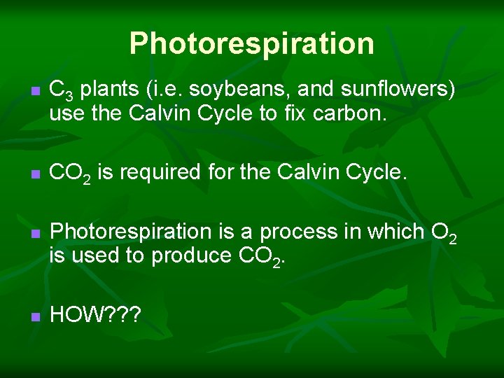 Photorespiration n n C 3 plants (i. e. soybeans, and sunflowers) use the Calvin