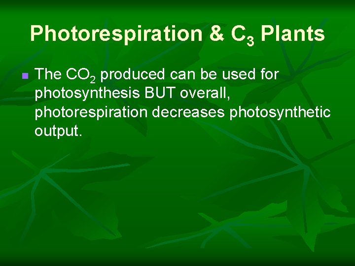 Photorespiration & C 3 Plants n The CO 2 produced can be used for