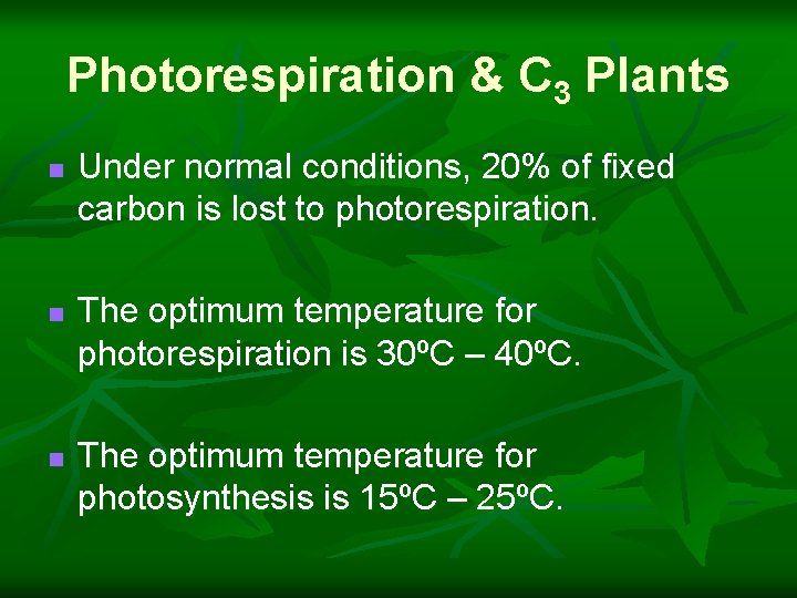 Photorespiration & C 3 Plants n n n Under normal conditions, 20% of fixed