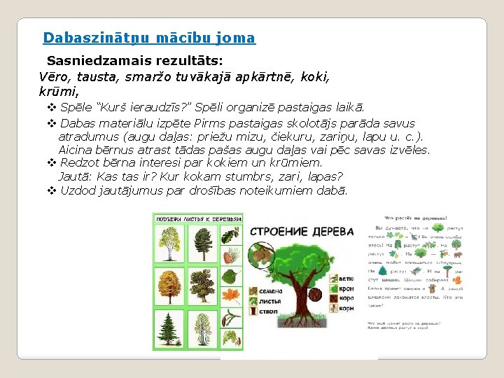 Dabaszinātņu mācību joma Sasniedzamais rezultāts: Vēro, tausta, smaržo tuvākajā apkārtnē, koki, krūmi, v Spēle