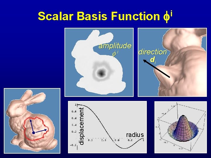 Scalar Basis Function amplitude displacement i i direction di radius 