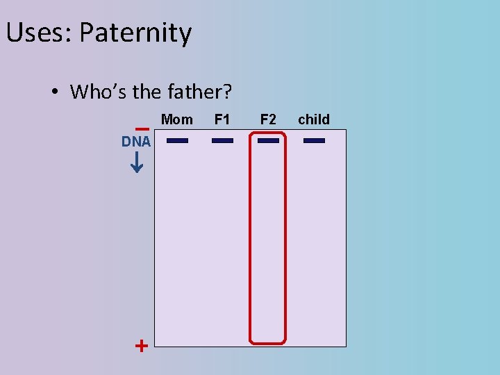 Uses: Paternity • Who’s the father? – DNA + Mom F 1 F 2