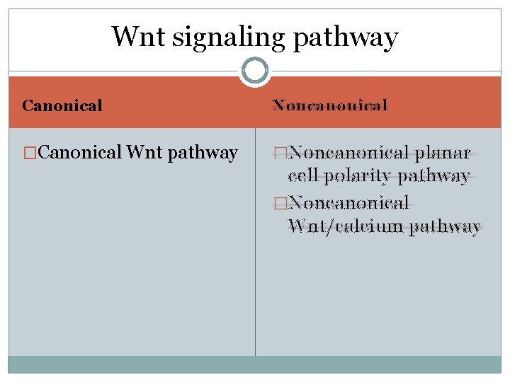 Wnt signaling pathway Canonical Noncanonical �Canonical Wnt pathway �Noncanonical planar cell polarity pathway �Noncanonical Wnt signaling pathway Canonical Noncanonical �Canonical Wnt pathway �Noncanonical planar cell polarity pathway �Noncanonical