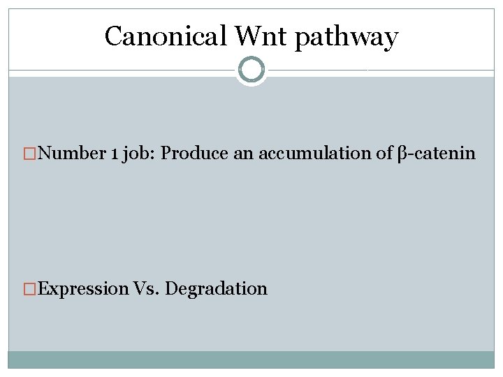 Canonical Wnt pathway �Number 1 job: Produce an accumulation of β-catenin �Expression Vs. Degradation Canonical Wnt pathway �Number 1 job: Produce an accumulation of β-catenin �Expression Vs. Degradation