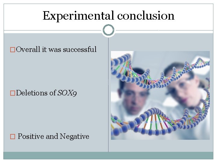 Experimental conclusion �Overall it was successful �Deletions of SOX 9 � Positive and Negative Experimental conclusion �Overall it was successful �Deletions of SOX 9 � Positive and Negative