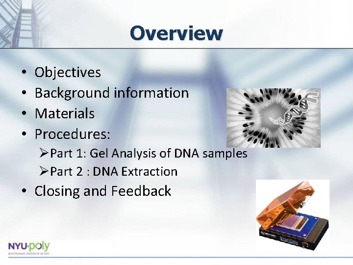 Overview • • Objectives Background information Materials Procedures: ØPart 1: Gel Analysis of DNA