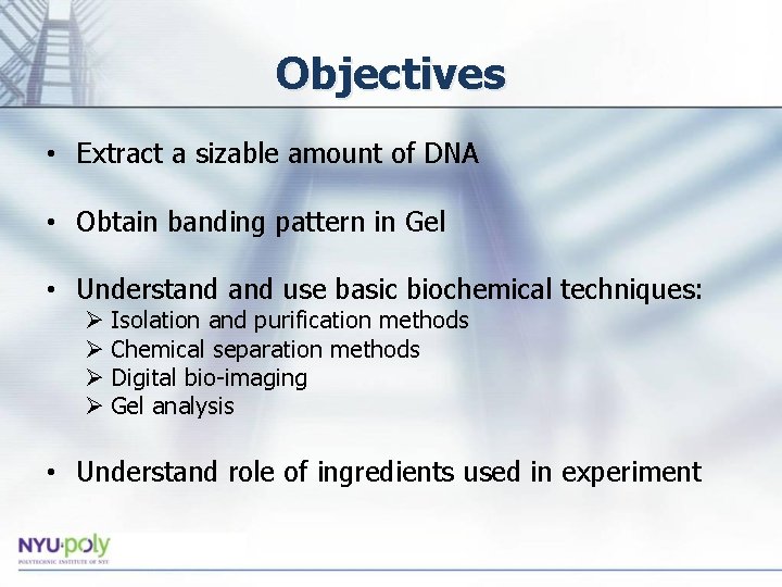 Objectives • Extract a sizable amount of DNA • Obtain banding pattern in Gel