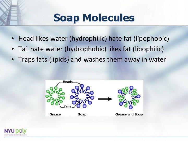 Soap Molecules • Head likes water (hydrophilic) hate fat (lipophobic) • Tail hate water