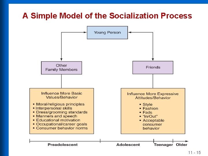 A Simple Model of the Socialization Process 11 - 15 
