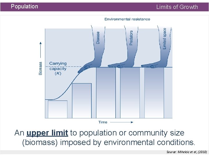 Population Limits of Growth An upper limit to population or community size (biomass) imposed