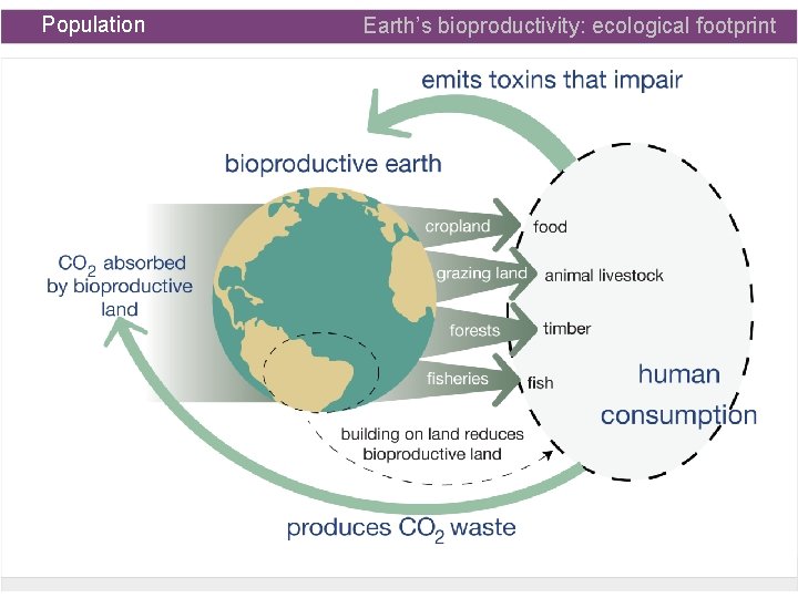 Population Earth’s bioproductivity: ecological footprint 