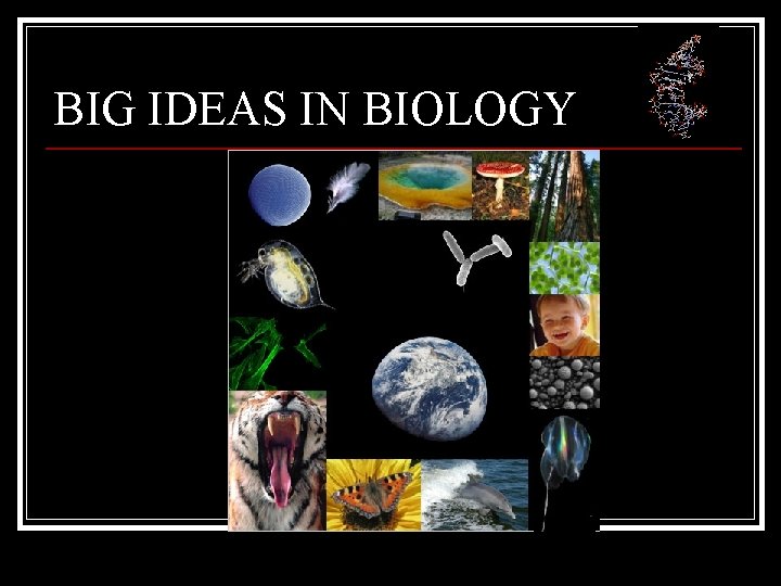 BIG IDEAS IN BIOLOGY 