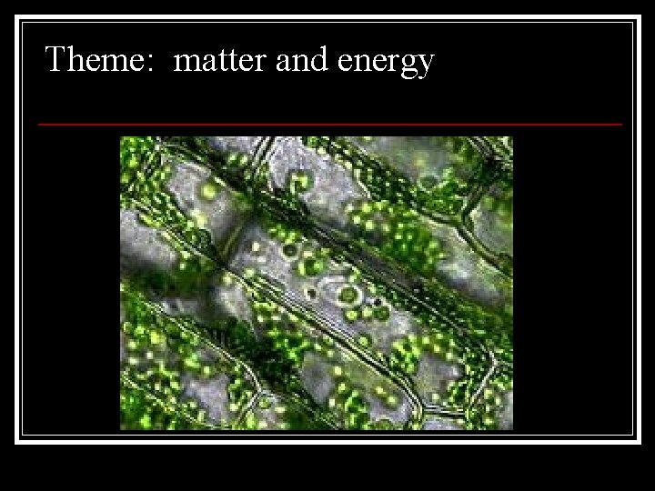 Theme: matter and energy 