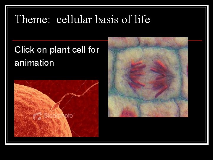 Theme: cellular basis of life Click on plant cell for animation 