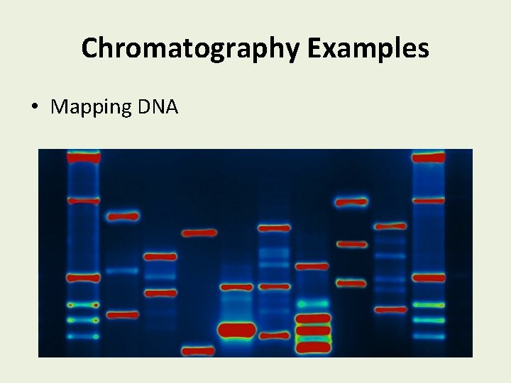 Chromatography Examples • Mapping DNA 