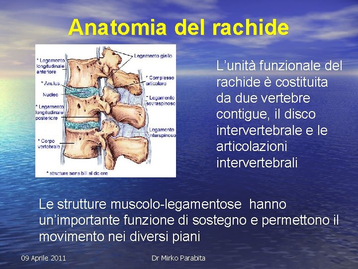 Anatomia del rachide L’unità funzionale del rachide è costituita da due vertebre contigue, il