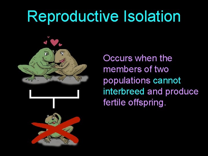 Reproductive Isolation Occurs when the members of two populations cannot interbreed and produce fertile