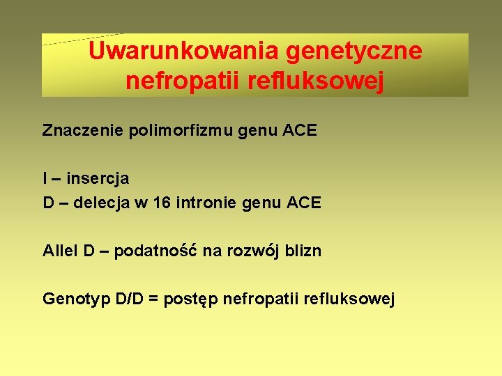 Uwarunkowania genetyczne nefropatii refluksowej Znaczenie polimorfizmu genu ACE I – insercja D – delecja