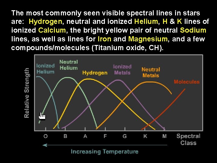 The most commonly seen visible spectral lines in stars are: Hydrogen, neutral and ionized