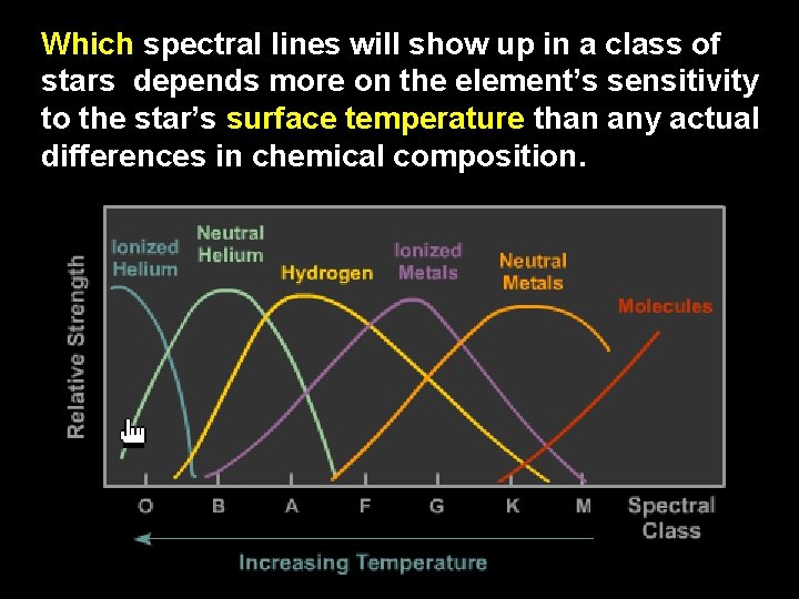 Which spectral lines will show up in a class of stars depends more on