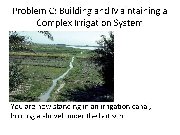 Problem C: Building and Maintaining a Complex Irrigation System You are now standing in