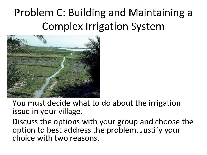 Problem C: Building and Maintaining a Complex Irrigation System You must decide what to