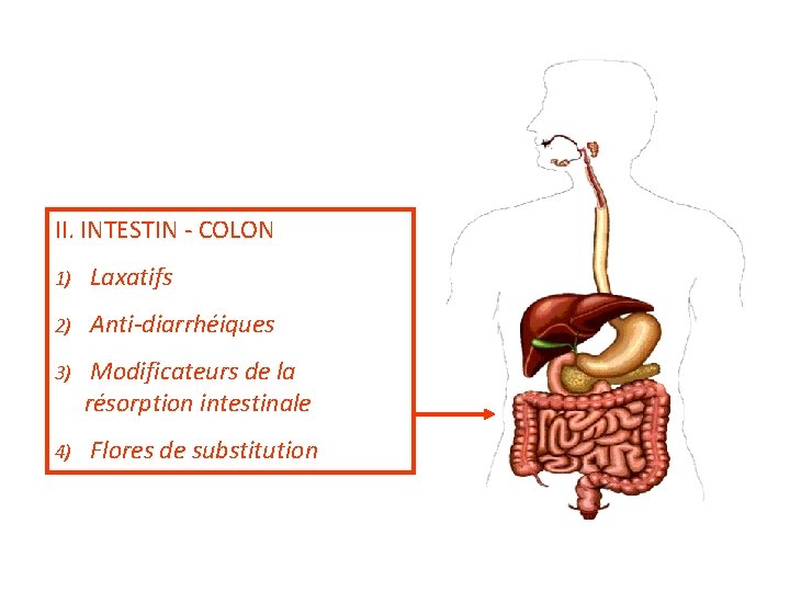 II. INTESTIN - COLON 1) Laxatifs 2) Anti-diarrhéiques 3) Modificateurs de la résorption intestinale