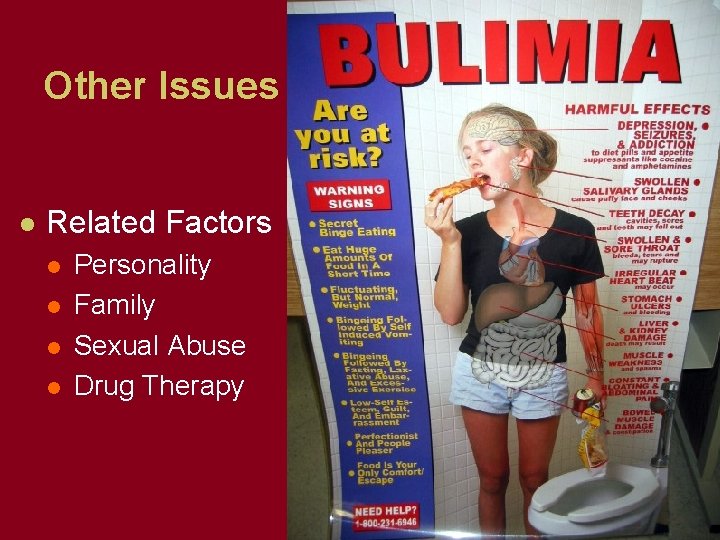 Other Issues l Related Factors l l Personality Family Sexual Abuse Drug Therapy 