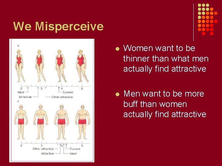 We Misperceive l Women want to be thinner than what men actually find attractive
